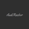 Организация "AudiRazbor"