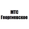 Организация "МТС Георгиевское"