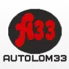 Организация "Autolom33"
