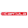 Организация "Cartula"