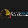 Организация "Drive-Pro"