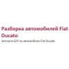 Организация "Разборка Fiat Ducato"